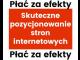 skuteczne_pozycjonowanie_stron_inte