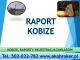 jak_wypelnic_raport_do_kobize