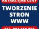 profesjonalne_tworzenie_stron_www_p