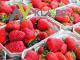 sortowanie_owocow_i_warzyw_prace_pr