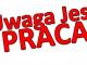 praca_na_produkcji_holandia_atrakcy