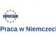 praca_jako_dojarz_krow_w_niemczech