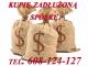 kupie_zadluzona_spolke_608_124_127