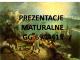 pomoge_w_napisaniu_prezentacji_matu