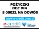 pozyczki_bez_bik_nowa_firma_na_rynk