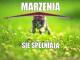 pozyczka_spelniajaca_twoje_marzenia