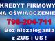 kredyt_firmowy_na_oswiadczenie_bez_